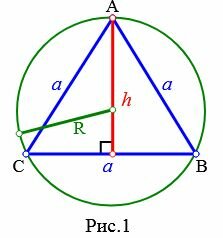 Радиус окружности описанной вокруг правильного треугольника равна 2